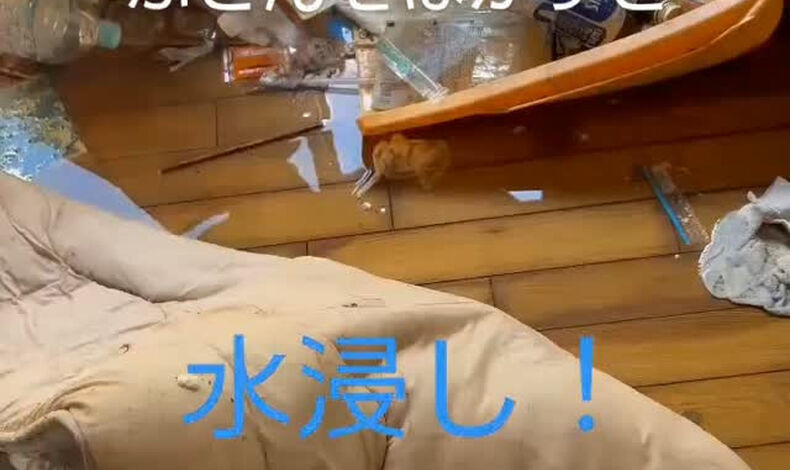 画像1698